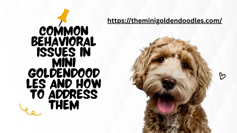 Common Behavioral Issues in Mini Goldendoodles and How to Address Them